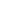 Defyzer